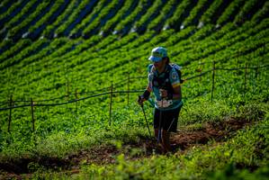 BIB: 232
                            <button type="button" onclick="openModal(19160662)" class="btn btn-primary btn-sm float-right btn-popup" data-toggle="modal" data-target=".modal-high-quality">
                        <i class="fas fa-shopping-cart"></i> Add to Cart
                    </button>
                                            <button type="button" onclick="isThisMe(19160662, true)" class="btn btn-success btn-sm float-right btn-popup btn-isme hidden" data-toggle="tooltip" data-placement="bottom" title="นี่คือรูปของคุณใช่ไหม คลิกที่นี่เพื่อเอาเข้าอัลบั้ม">
                        <i class="fas fa-plus"></i> Add to album
                    </button>
                    <button type="button" onclick="isThisMe(19160662, false)" class="btn btn-warning btn-sm float-right btn-popup btn-isnotme hidden">
                        <i class="fas fa-ban"></i> Remove from album
                    </button>